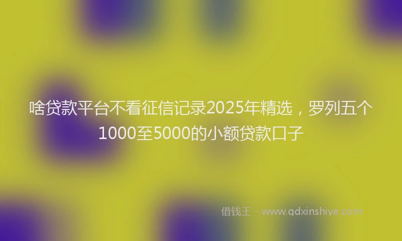 啥贷款平台不看征信记录2025年精选，罗列五个1000至5000的小额贷款口子