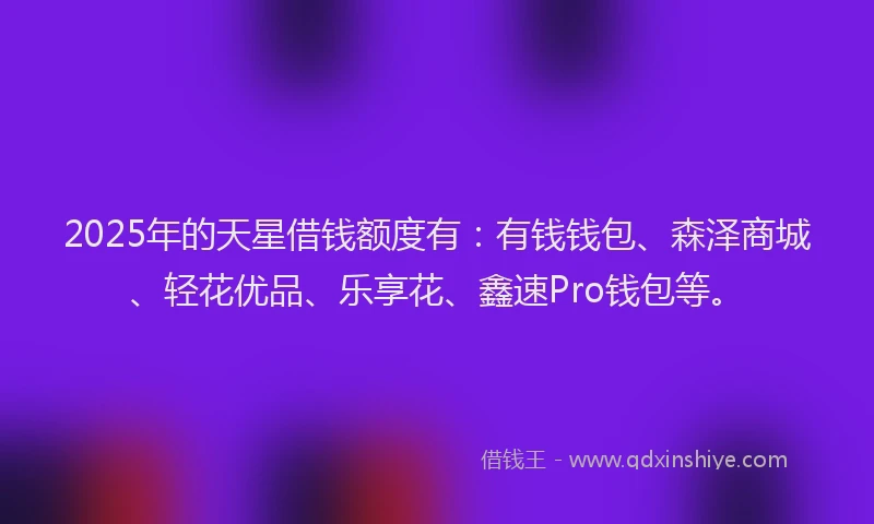 2025年的天星借钱额度有：有钱钱包、森泽商城、轻花优品、乐享花、鑫速Pro钱包等。