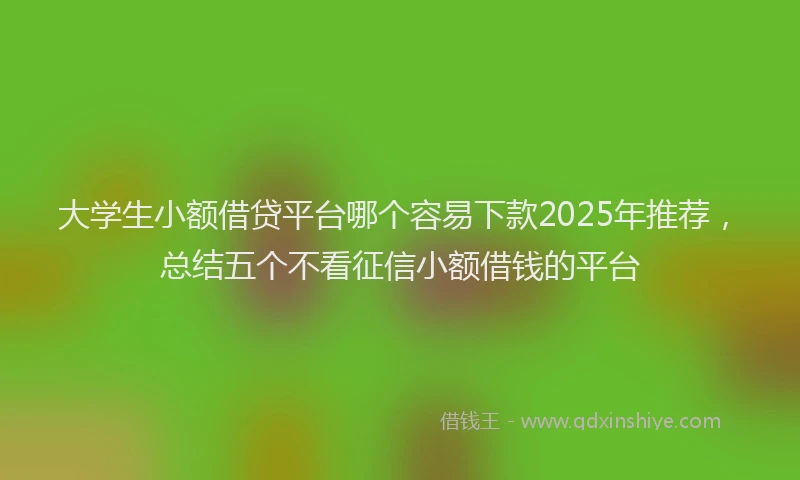 大学生小额借贷平台哪个容易下款2025年推荐，总结五个不看征信小额借钱的平台
