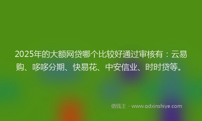 2025年的大额网贷哪个比较好通过审核有：云易购、哆哆分期、快易花、中安信业、时时贷等。