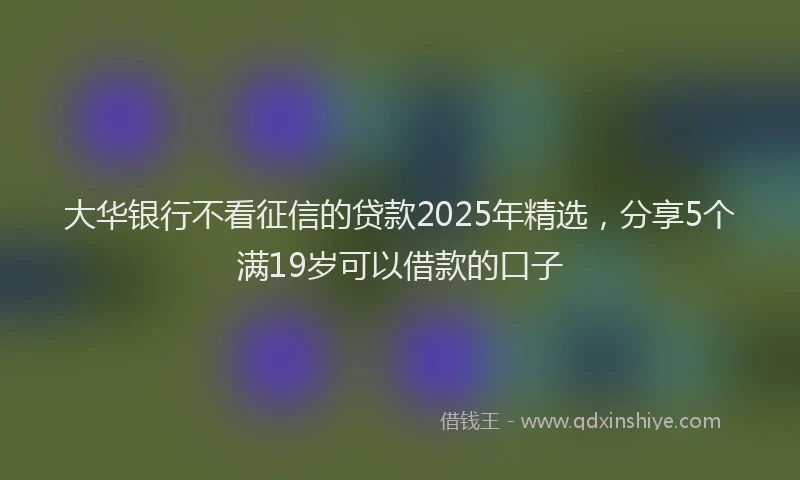 大华银行不看征信的贷款2025年精选，分享5个满19岁可以借款的口子