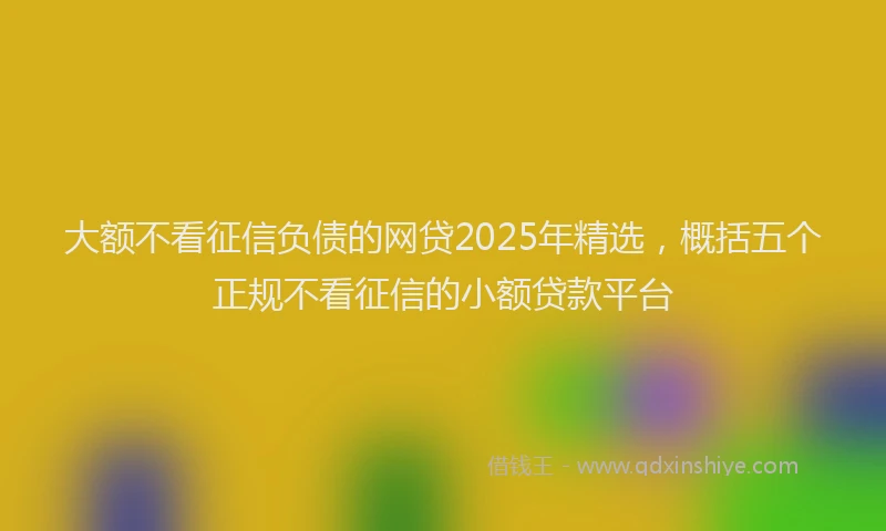 大额不看征信负债的网贷2025年精选，概括五个正规不看征信的小额贷款平台