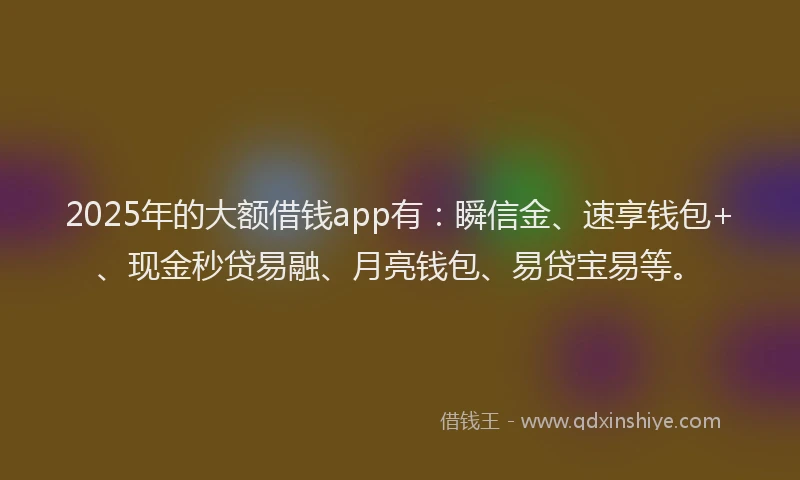 2025年的大额借钱app有：瞬信金、速享钱包+、现金秒贷易融、月亮钱包、易贷宝易等。