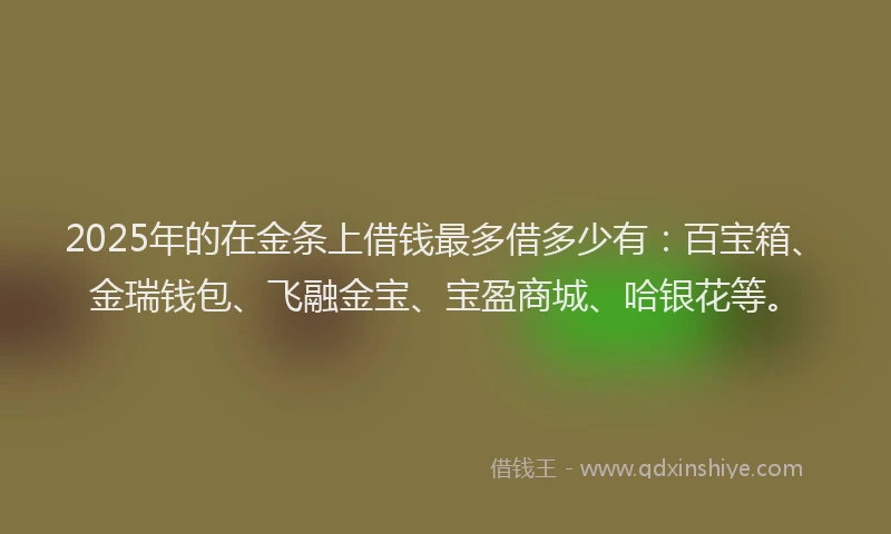 2025年的在金条上借钱最多借多少有：百宝箱、金瑞钱包、飞融金宝、宝盈商城、哈银花等。