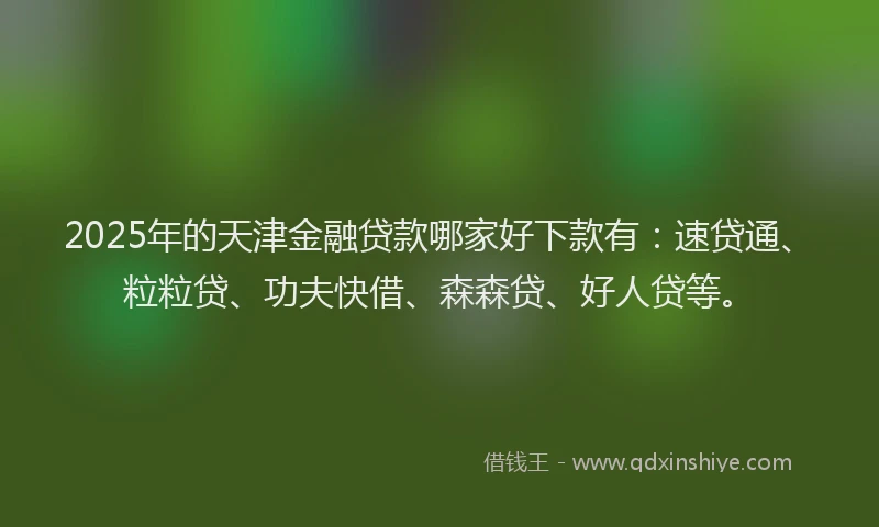 2025年的天津金融贷款哪家好下款有:速贷通、粒粒贷、功夫快借、森森贷、好人贷等。