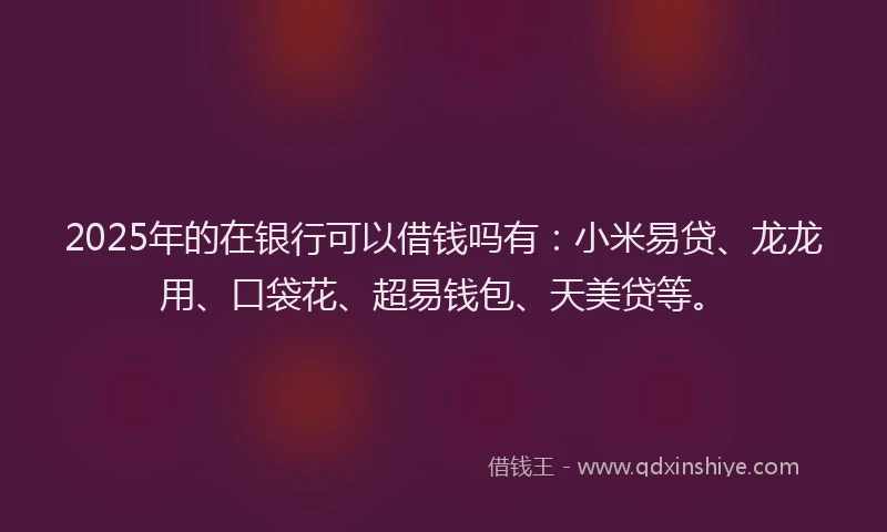 2025年的在银行可以借钱吗有：小米易贷、龙龙用、口袋花、超易钱包、天美贷等。