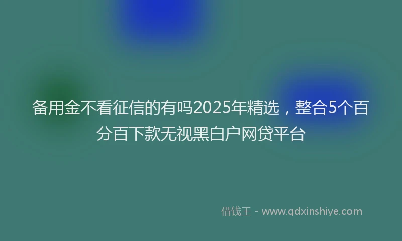 备用金不看征信的有吗2025年精选，整合5个百分百下款无视黑白户网贷平台