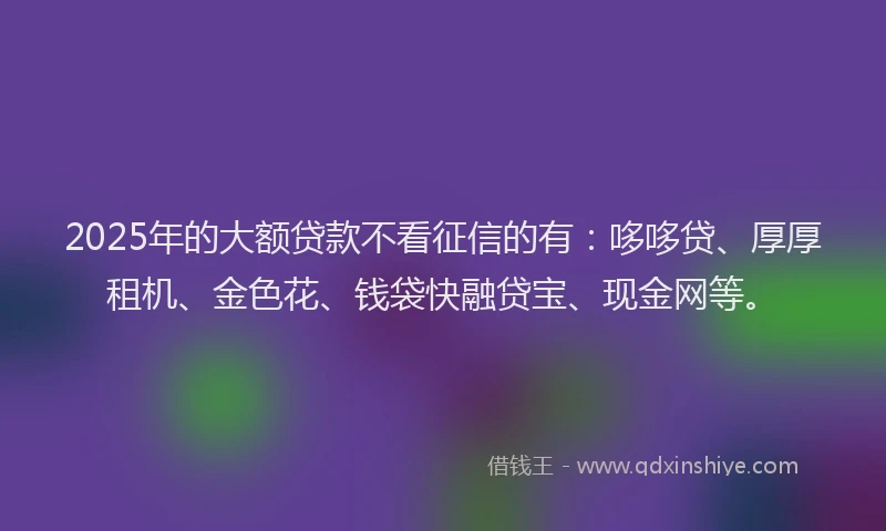2025年的大额贷款不看征信的有：哆哆贷、厚厚租机、金色花、钱袋快融贷宝、现金网等。
