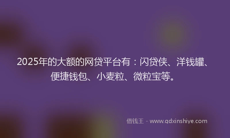 2025年的大额的网贷平台有：闪贷侠、洋钱罐、便捷钱包、小麦粒、微粒宝等。