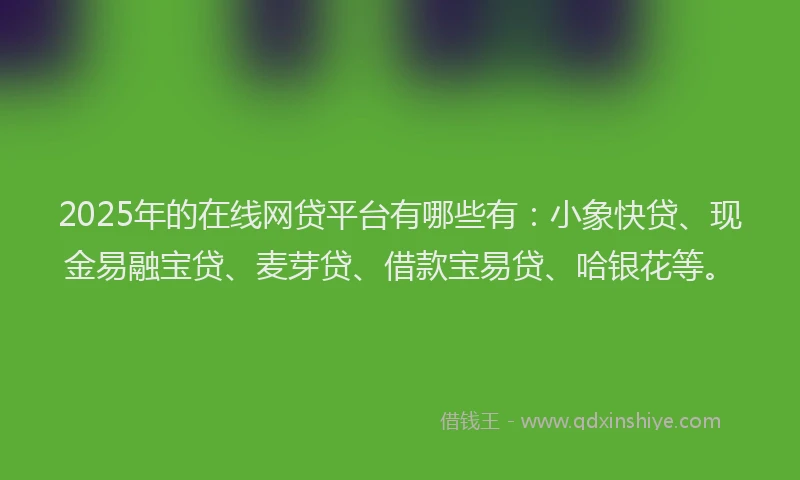 2025年的在线网贷平台有哪些有：小象快贷、现金易融宝贷、麦芽贷、借款宝易贷、哈银花等。