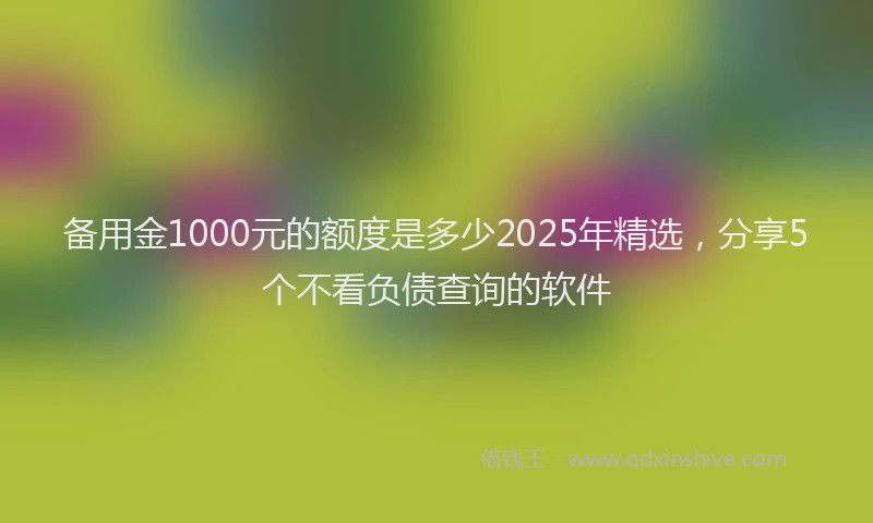 备用金1000元的额度是多少2025年精选，分享5个不看负债查询的软件
