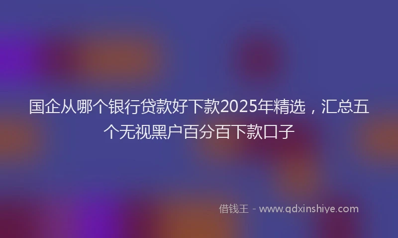 国企从哪个银行贷款好下款2025年精选，汇总五个无视黑户百分百下款口子