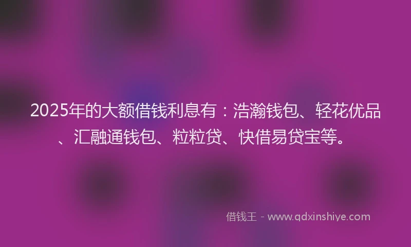 2025年的大额借钱利息有：浩瀚钱包、轻花优品、汇融通钱包、粒粒贷、快借易贷宝等。