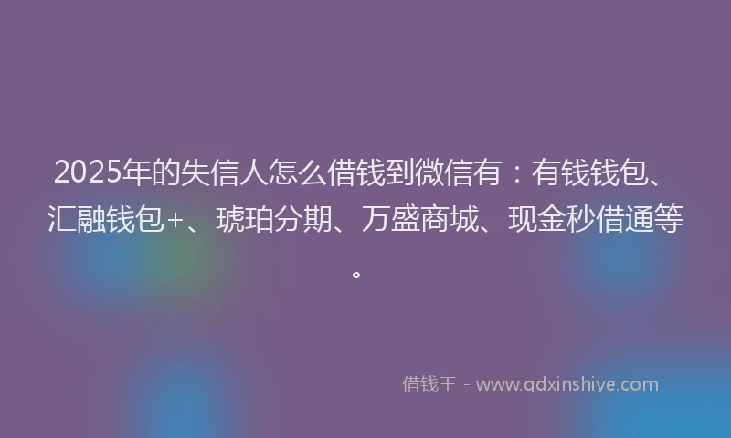2025年的失信人怎么借钱到微信有：有钱钱包、汇融钱包+、琥珀分期、万盛商城、现金秒借通等。