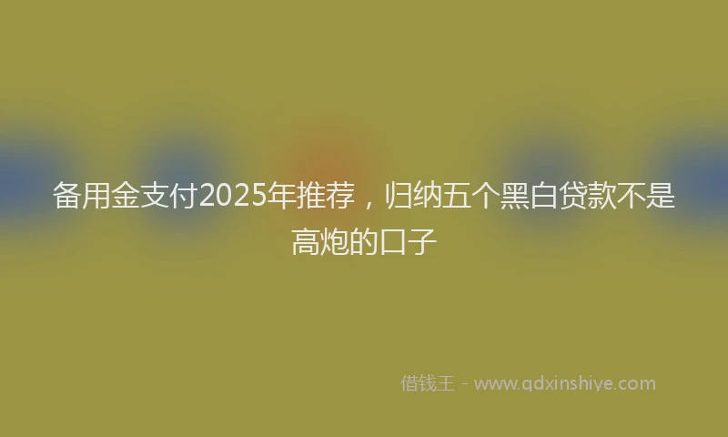 备用金支付2025年推荐，归纳五个黑白贷款不是高炮的口子