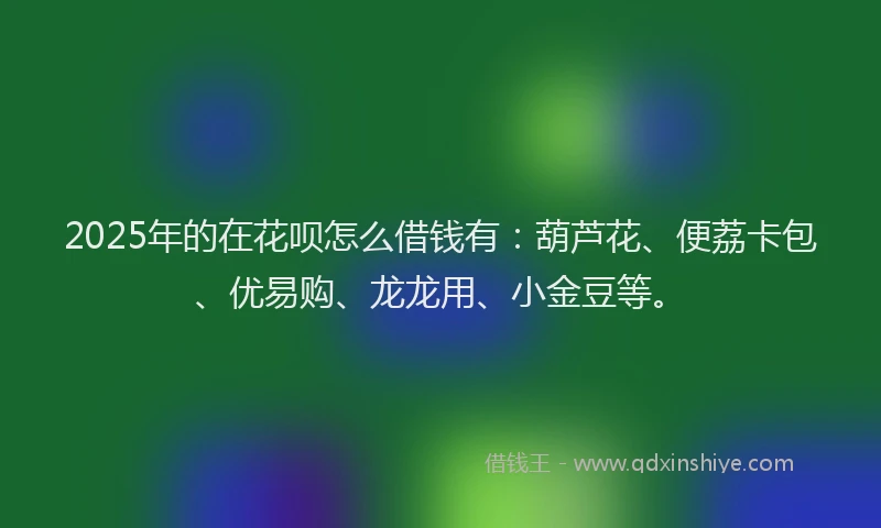 2025年的在花呗怎么借钱有：葫芦花、便荔卡包、优易购、龙龙用、小金豆等。