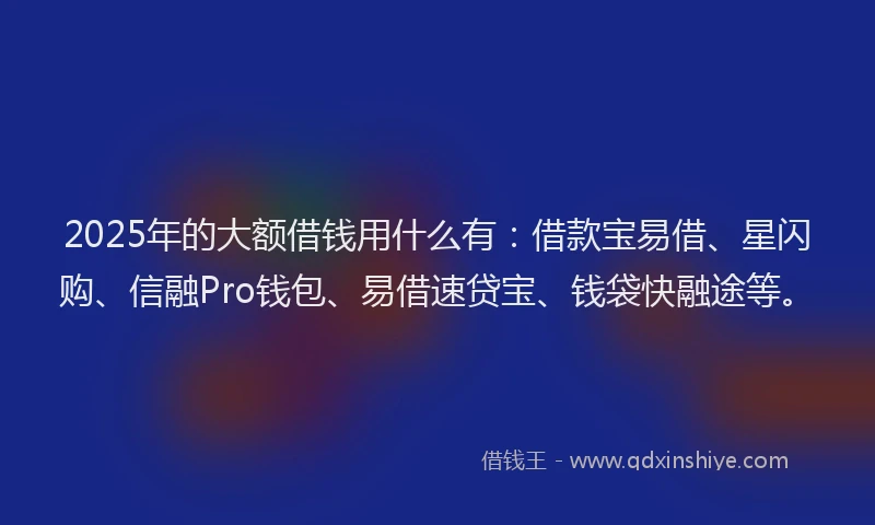 2025年的大额借钱用什么有：借款宝易借、星闪购、信融Pro钱包、易借速贷宝、钱袋快融途等。