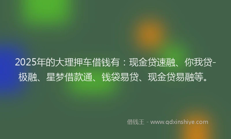 2025年的大理押车借钱有：现金贷速融、你我贷-极融、星梦借款通、钱袋易贷、现金贷易融等。