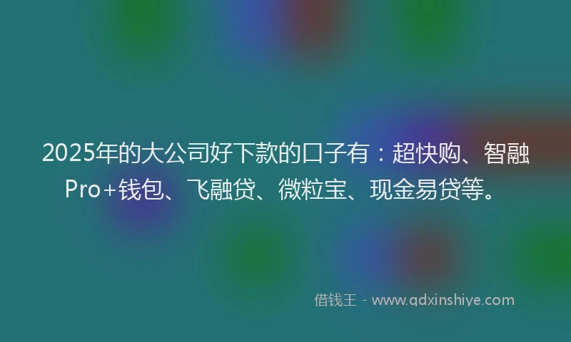 2025年的大公司好下款的口子有：超快购、智融Pro+钱包、飞融贷、微粒宝、现金易贷等。