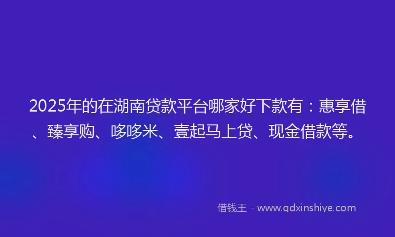 2025年的在湖南贷款平台哪家好下款有：惠享借、臻享购、哆哆米、壹起马上贷、现金借款等。