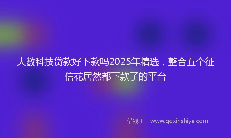 大数科技贷款好下款吗2025年精选，整合五个征信花居然都下款了的平台