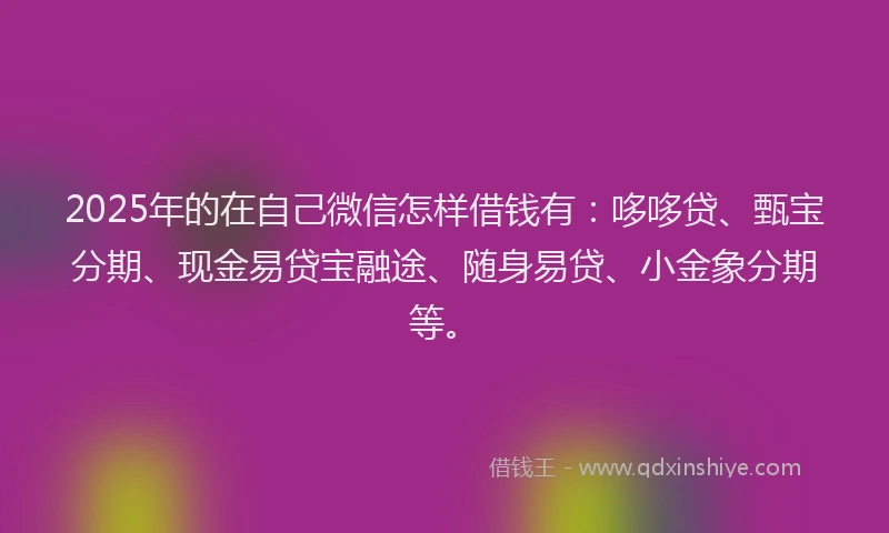 2025年的在自己微信怎样借钱有：哆哆贷、甄宝分期、现金易贷宝融途、随身易贷、小金象分期等。