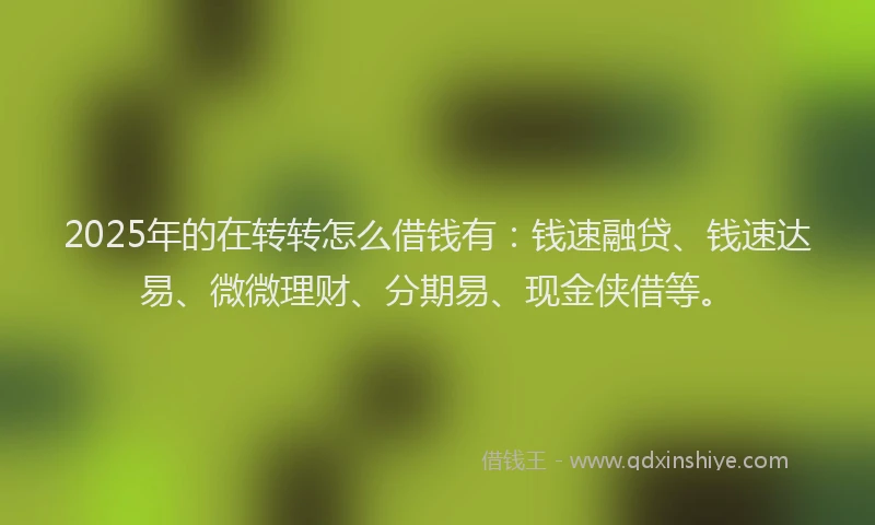2025年的在转转怎么借钱有：钱速融贷、钱速达易、微微理财、分期易、现金侠借等。