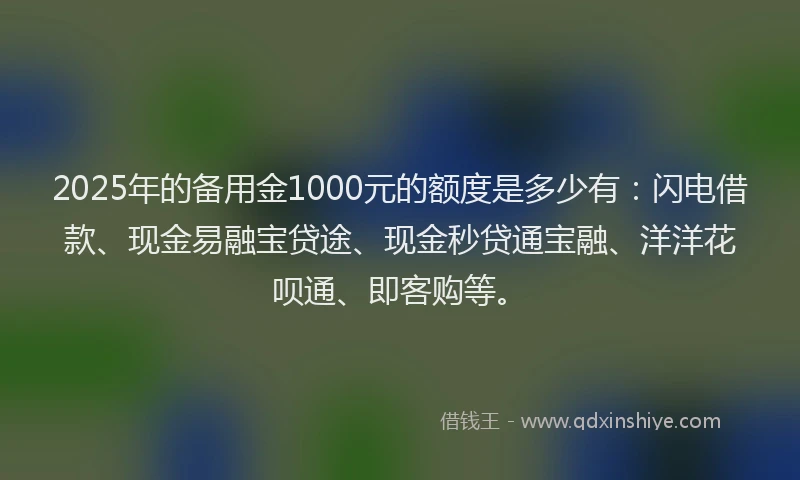 2025年的备用金1000元的额度是多少有：闪电借款、现金易融宝贷途、现金秒贷通宝融、洋洋花呗通、即客购等。