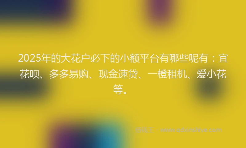 2025年的大花户必下的小额平台有哪些呢有：宜花呗、多多易购、现金速贷、一橙租机、爱小花等。