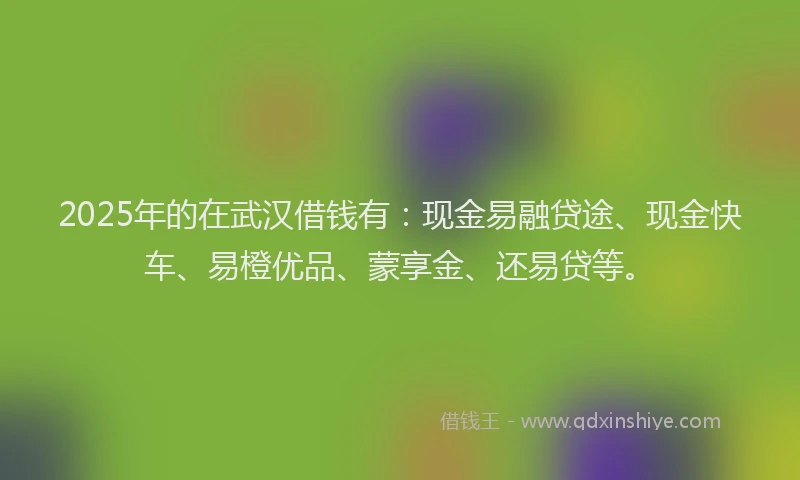 2025年的在武汉借钱有：现金易融贷途、现金快车、易橙优品、蒙享金、还易贷等。