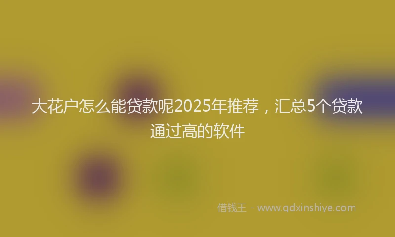 大花户怎么能贷款呢2025年推荐，汇总5个贷款通过高的软件