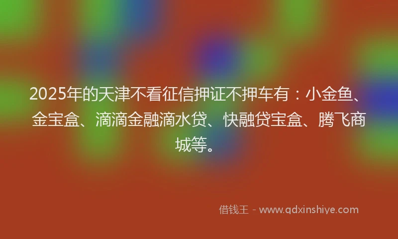 2025年的天津不看征信押证不押车有：小金鱼、金宝盒、滴滴金融滴水贷、快融贷宝盒、腾飞商城等。