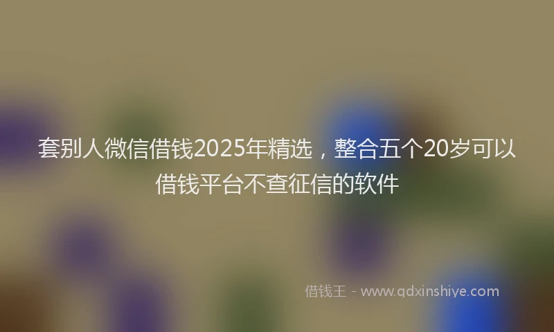 套别人微信借钱2025年精选，整合五个20岁可以借钱平台不查征信的软件