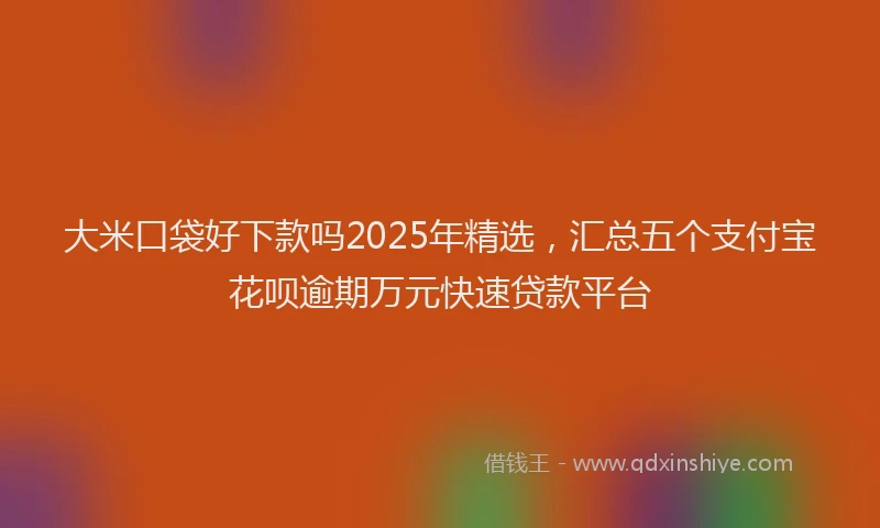 大米口袋好下款吗2025年精选，汇总五个支付宝花呗逾期万元快速贷款平台