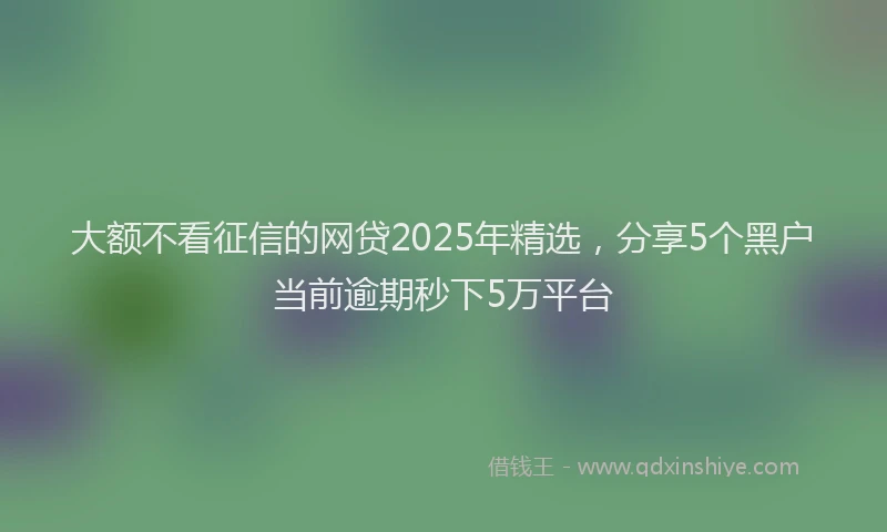 大额不看征信的网贷2025年精选，分享5个黑户当前逾期秒下5万平台