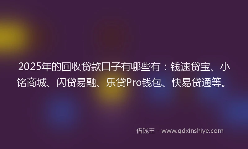 2025年的回收贷款口子有哪些有：钱速贷宝、小铭商城、闪贷易融、乐贷Pro钱包、快易贷通等。