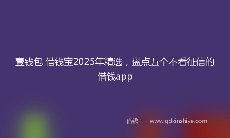 壹钱包 借钱宝2025年精选，盘点五个不看征信的借钱app