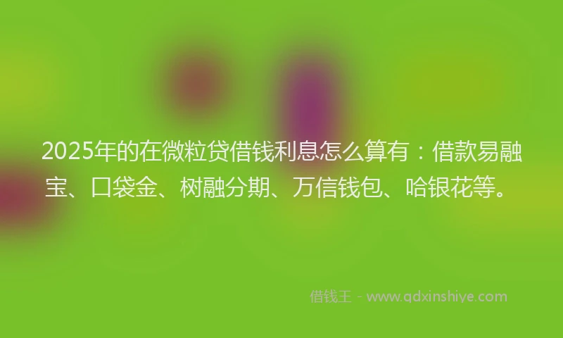 2025年的在微粒贷借钱利息怎么算有：借款易融宝、口袋金、树融分期、万信钱包、哈银花等。