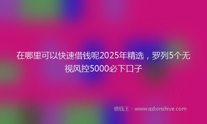 在哪里可以快速借钱呢2025年精选，罗列5个无视风控5000必下口子
