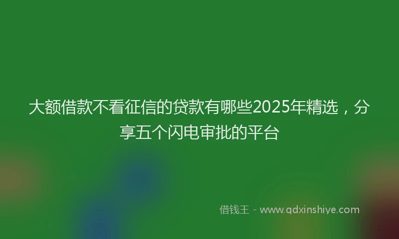 大额借款不看征信的贷款有哪些2025年精选，分享五个闪电审批的平台