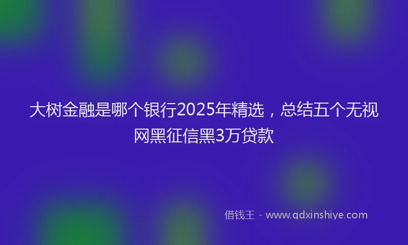 大树金融是哪个银行2025年精选，总结五个无视网黑征信黑3万贷款
