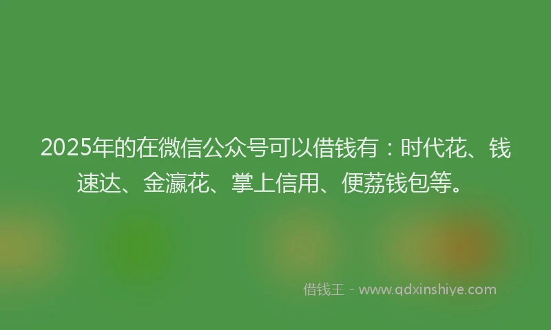 2025年的在微信公众号可以借钱有：时代花、钱速达、金瀛花、掌上信用、便荔钱包等。