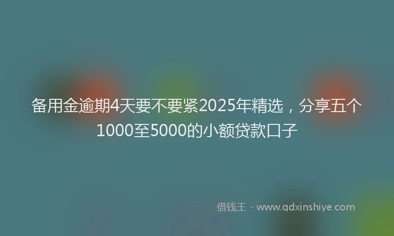 备用金逾期4天要不要紧2025年精选，分享五个1000至5000的小额贷款口子
