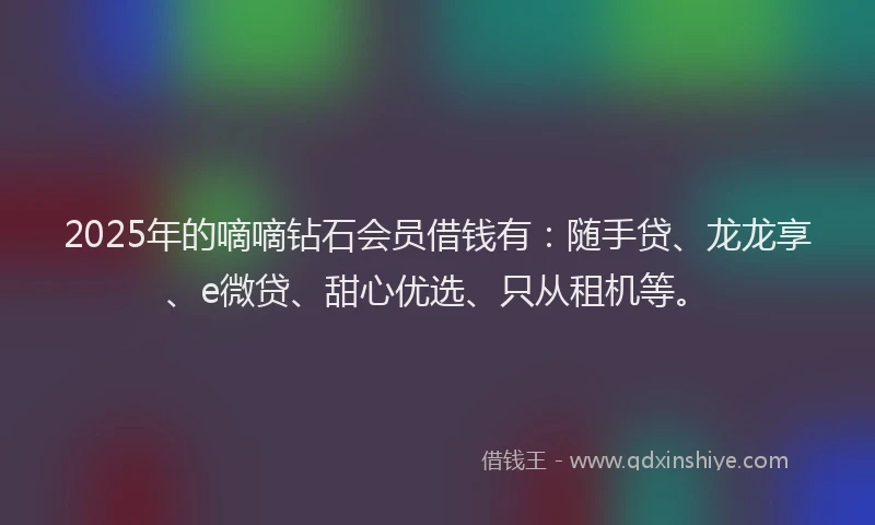 2025年的嘀嘀钻石会员借钱有：随手贷、龙龙享、e微贷、甜心优选、只从租机等。
