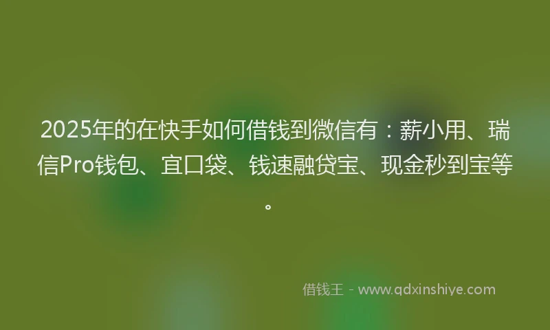2025年的在快手如何借钱到微信有：薪小用、瑞信Pro钱包、宜口袋、钱速融贷宝、现金秒到宝等。