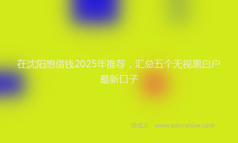 在沈阳想借钱2025年推荐，汇总五个无视黑白户最新口子