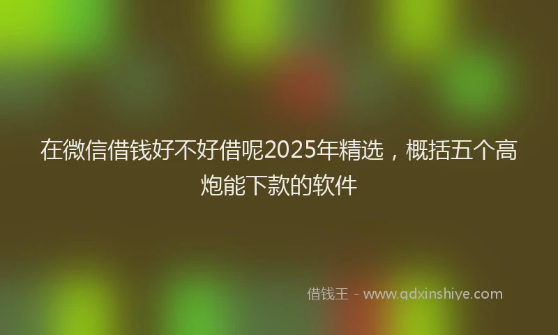 在微信借钱好不好借呢2025年精选，概括五个高炮能下款的软件