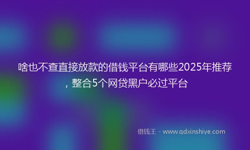 啥也不查直接放款的借钱平台有哪些2025年推荐，整合5个网贷黑户必过平台