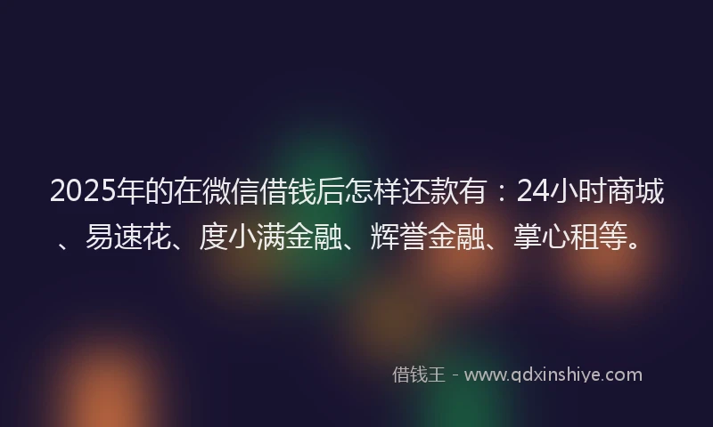 2025年的在微信借钱后怎样还款有：24小时商城、易速花、度小满金融、辉誉金融、掌心租等。