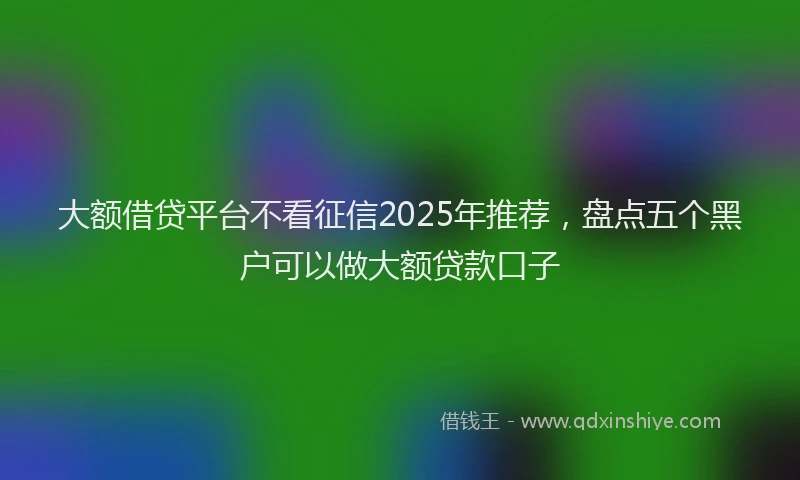 大额借贷平台不看征信2025年推荐，盘点五个黑户可以做大额贷款口子
